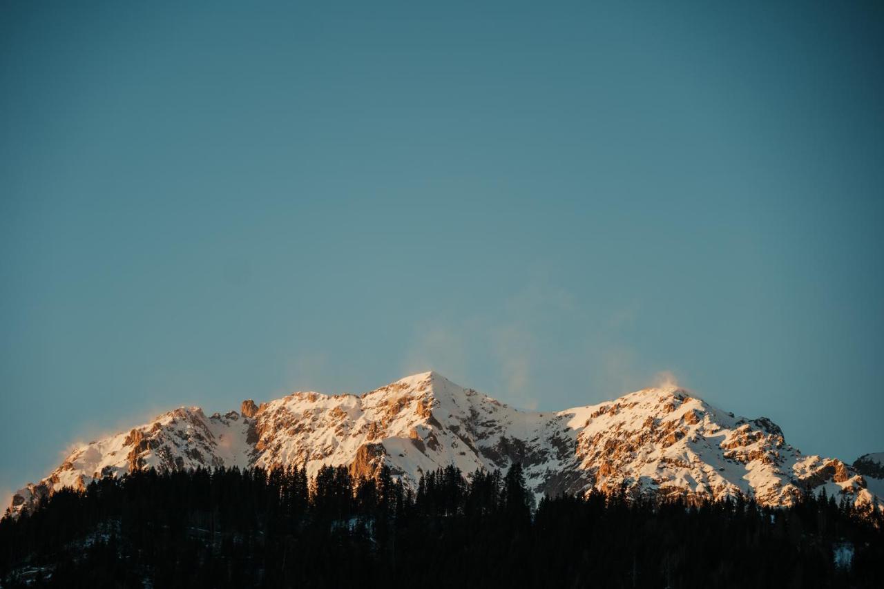 Hostel Mountain *